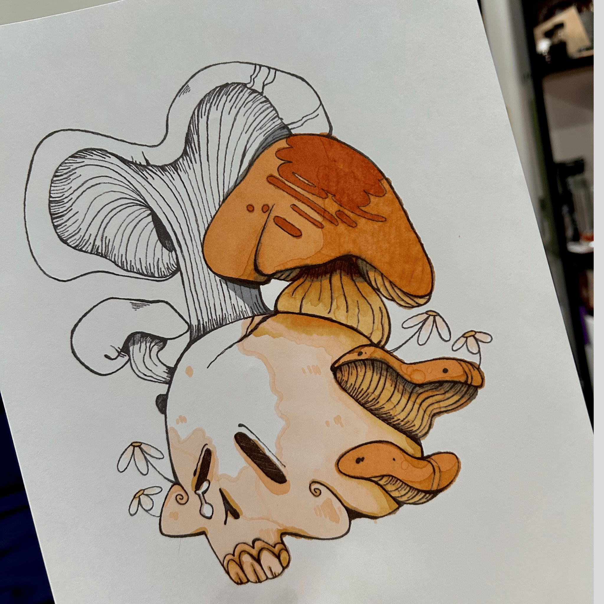 Illustration of a skull with mushrooms on a white background